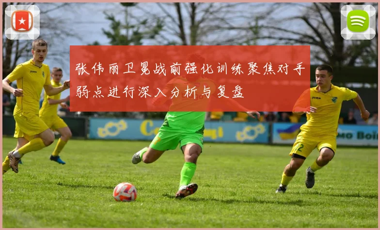 张伟丽卫冕战前强化训练聚焦对手弱点进行深入分析与复盘